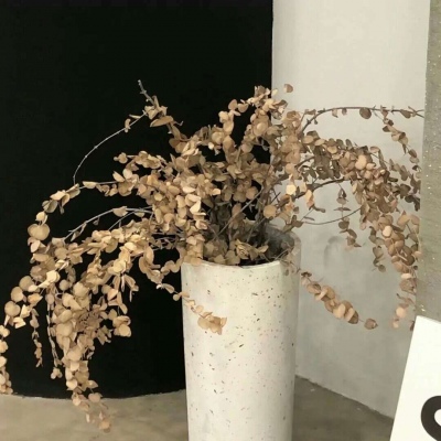 Furry绘画改稿思路兽圈社群